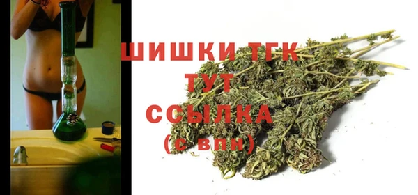mdpv Кодинск