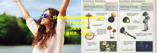 мет Козельск