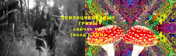 2c-b Козловка