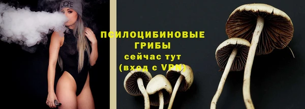 mdpv Кодинск