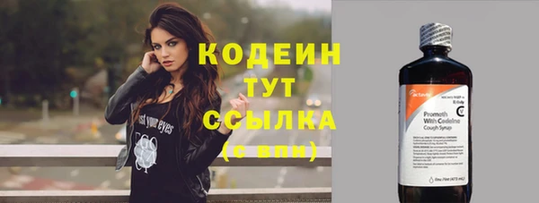 mdpv Кодинск