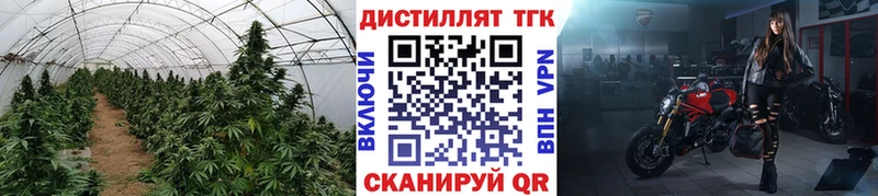 Дистиллят ТГК концентрат  Купить закладки  Ленинск-Кузнецкий 
