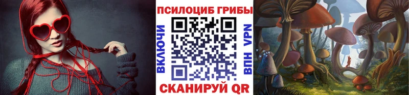 Псилоцибиновые грибы Psilocybine cubensis  Купить  Ленинск-Кузнецкий 