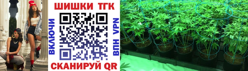 Купить где  Ленинск-Кузнецкий  Бошки Шишки план 